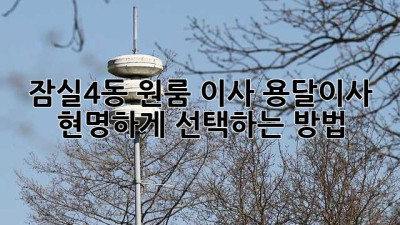 잠실4동 원룸 이사? 용달이사 현명하게 선택하는 방법!