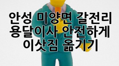 안성 미양면 갈전리 용달이사, 안전하게 이삿짐 옮기기